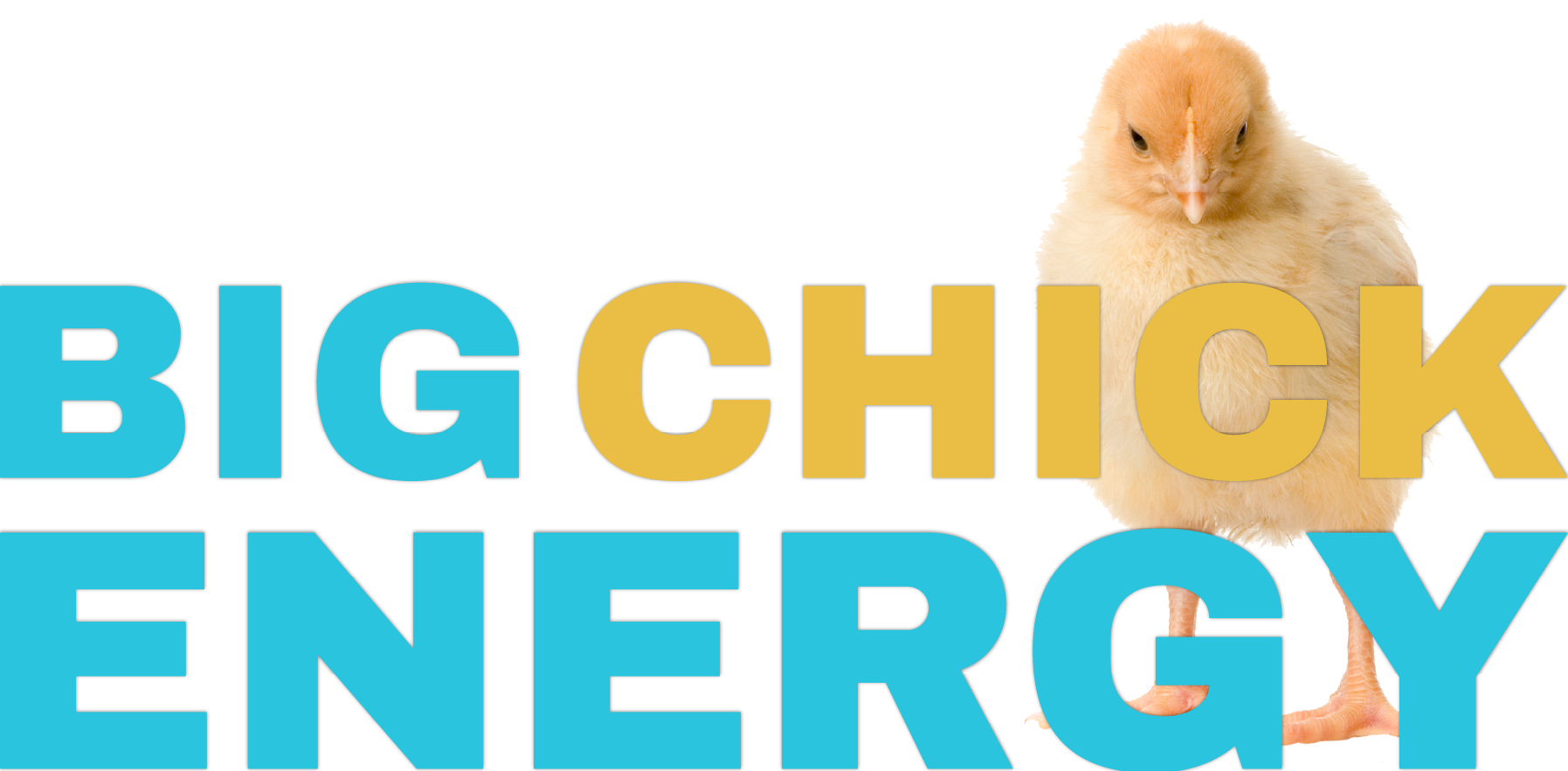 Big Chick Energy Logo Colour