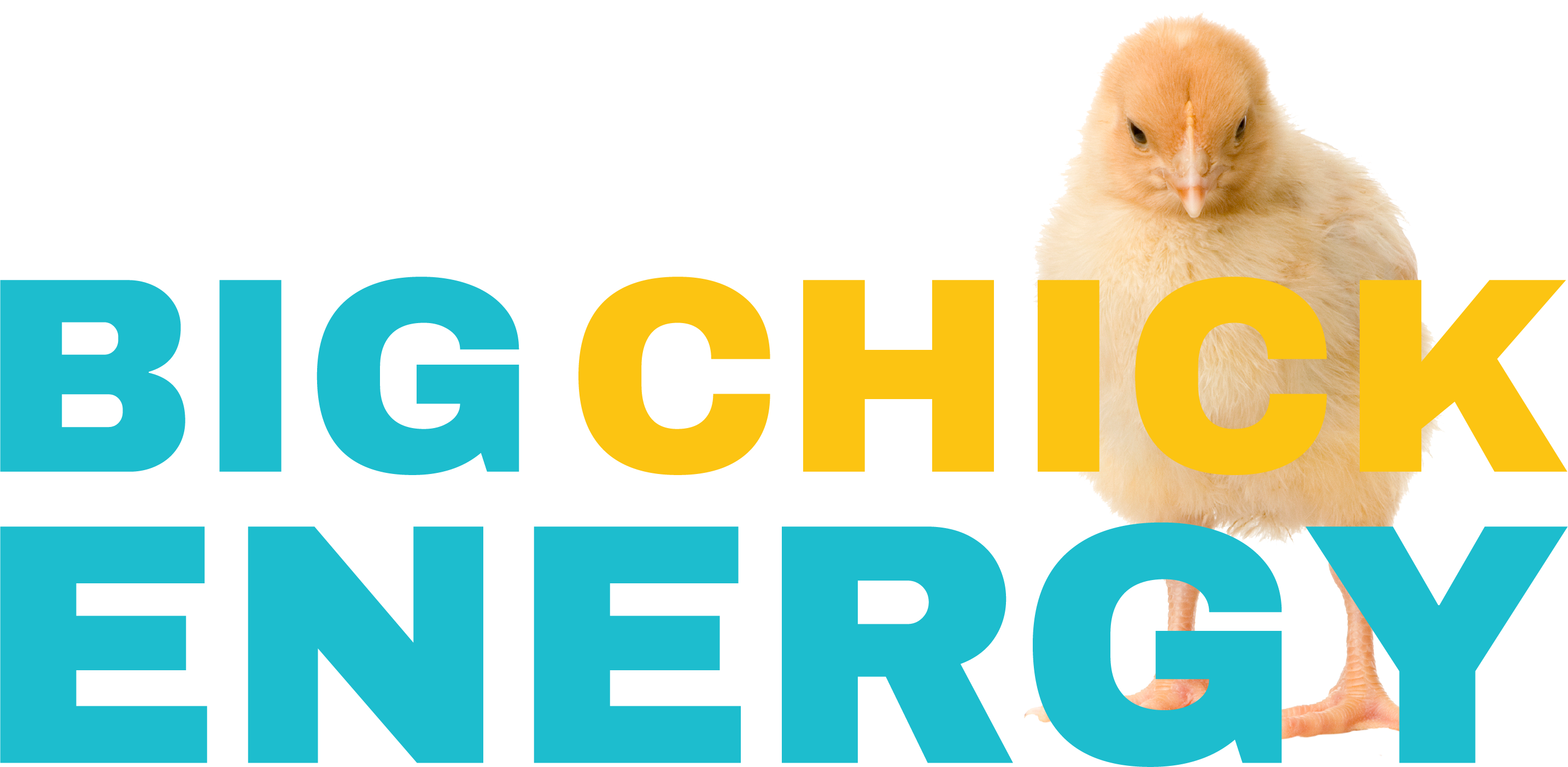 Big Chick Energy Primary Logo 2024<br />
